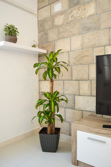 riva-tv-set-05
